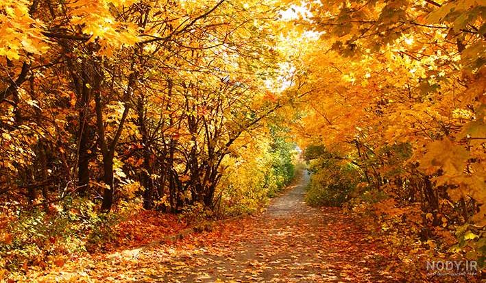 گالری عکس صلوات گالری عکس صلوات