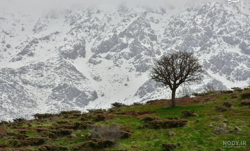 عکس کوه در شب