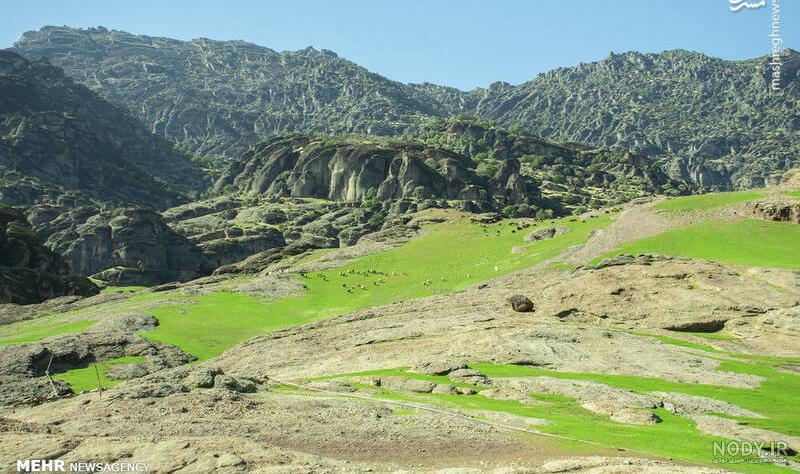 عکس کوه در شب