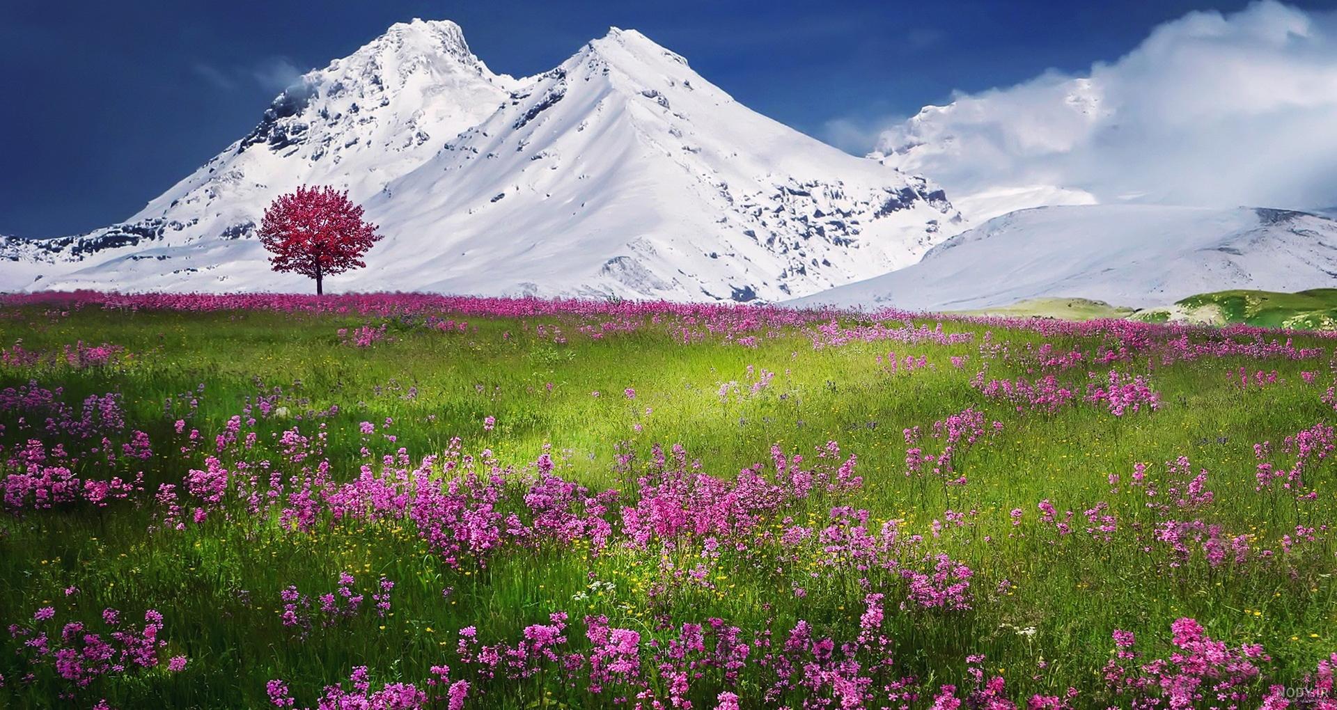 عکس کوه در شب