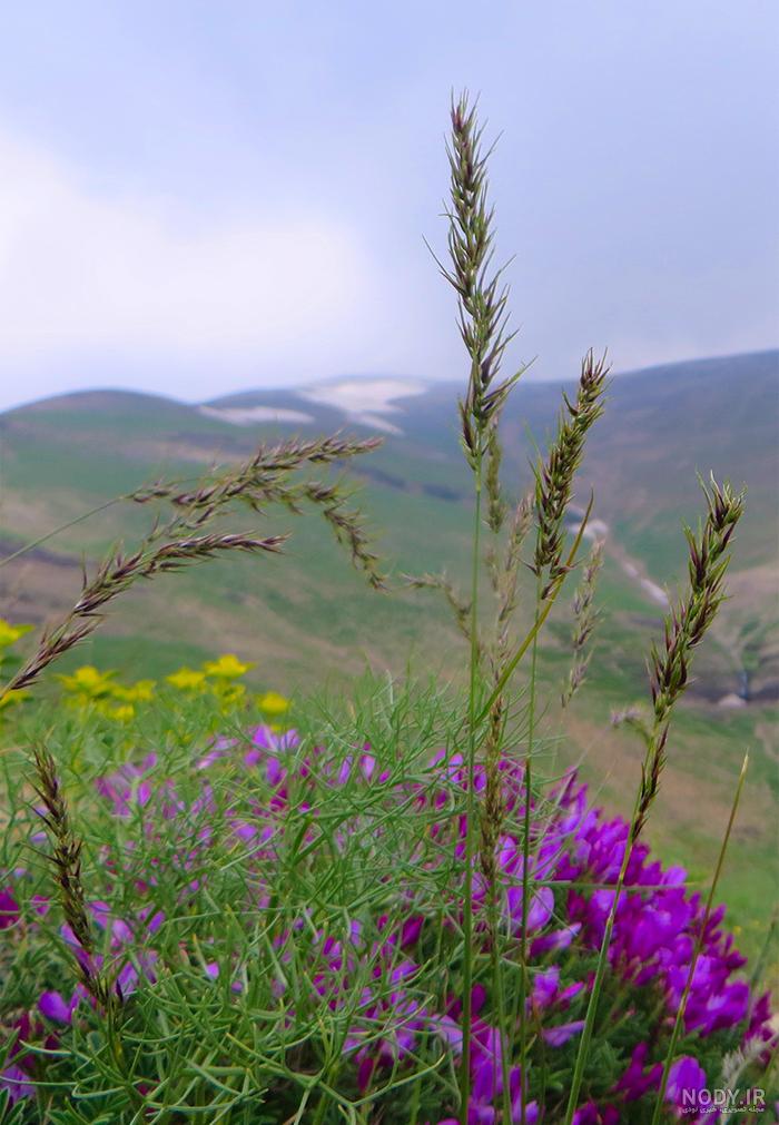 عکس کوه در شب