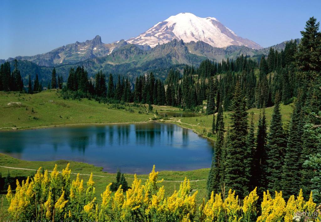 عکس کوه در شب