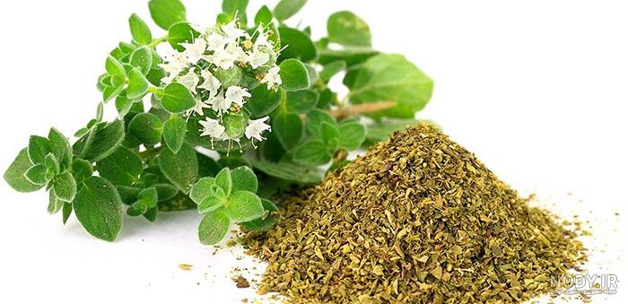 آویشن باریک برای لاغری