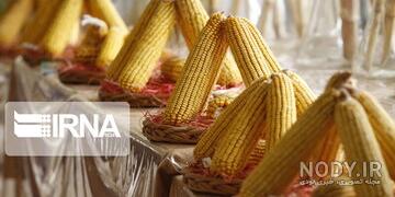 بررسی آفلاتوکسین در شیر بررسی آفلاتوکسین در شیر