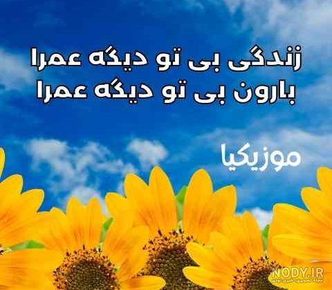 شایان قاسمی مدل اینستاگرام شایان قاسمی مدل اینستاگرام