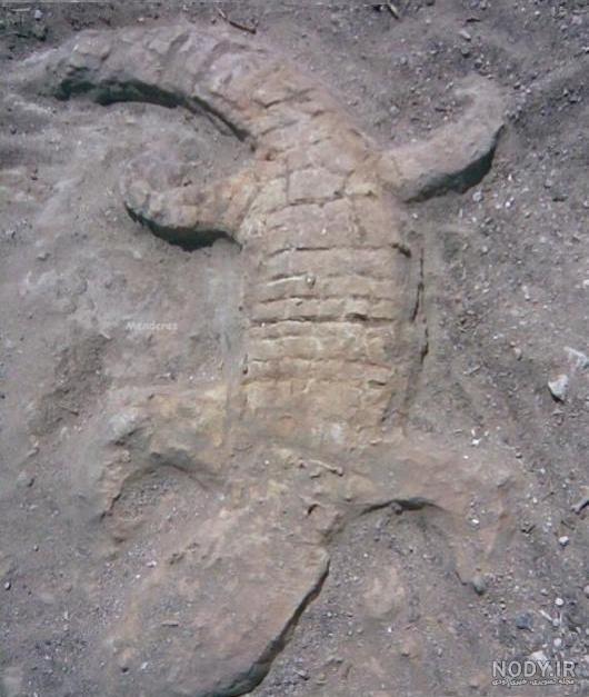 طلوع خورشید در دفینه یابی طلوع خورشید در دفینه یابی