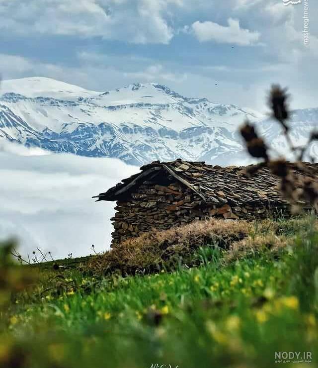 عکس بهاری پروفایل