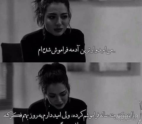 عکس خنده دار گربه با نوشته عکس خنده دار گربه با نوشته