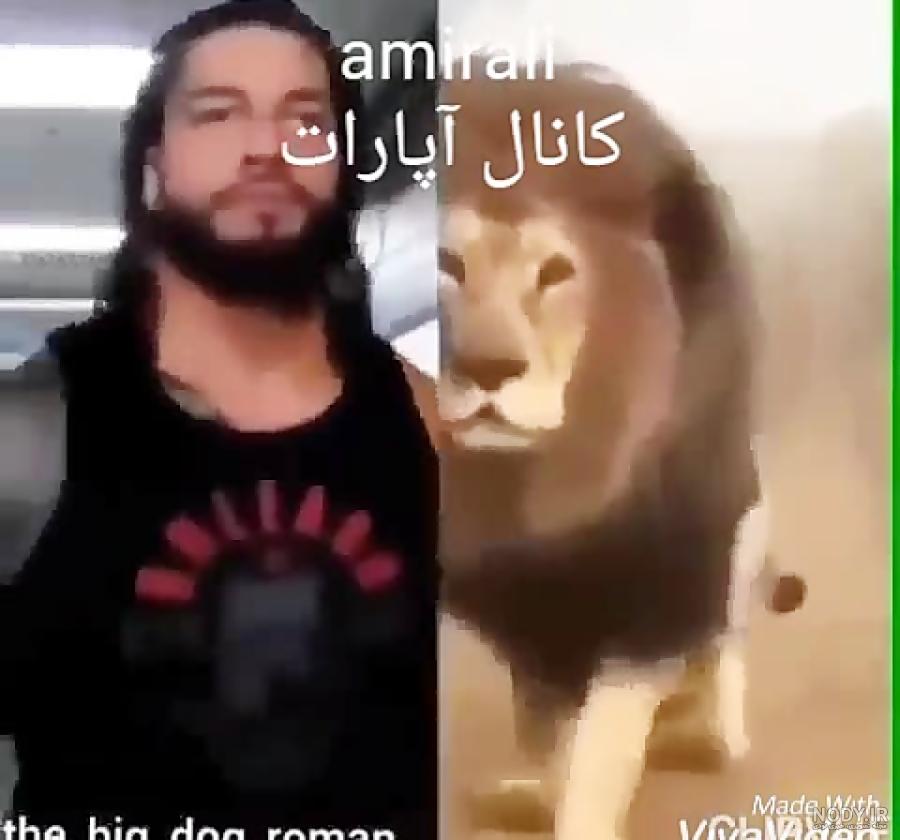 عکس رومن رینز در بیمارستان عکس رومن رینز در بیمارستان
