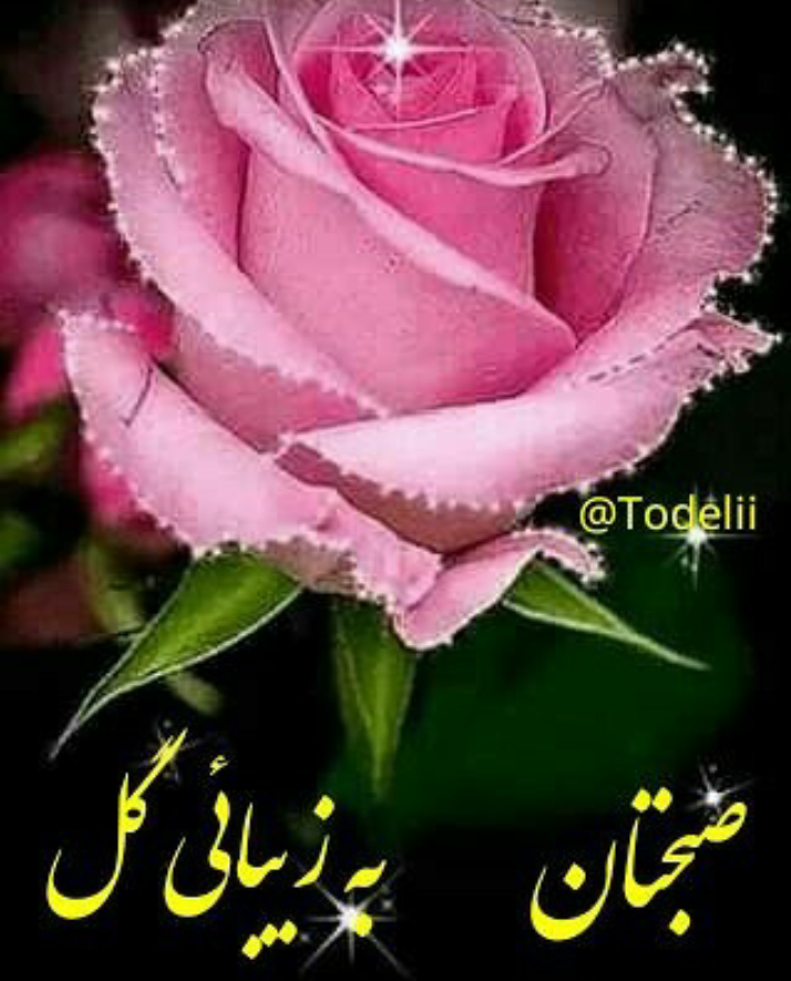 عکس صبح بخیر عزیزم عکس صبح بخیر عزیزم