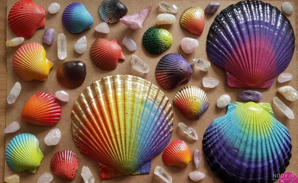 عکس صدف واقعی عکس صدف واقعی