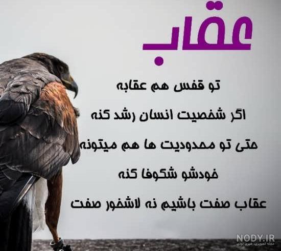 عکس عقاب در قفس