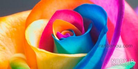 عکس های زیبای طبیعت و گل ها عکس های زیبای طبیعت و گل ها