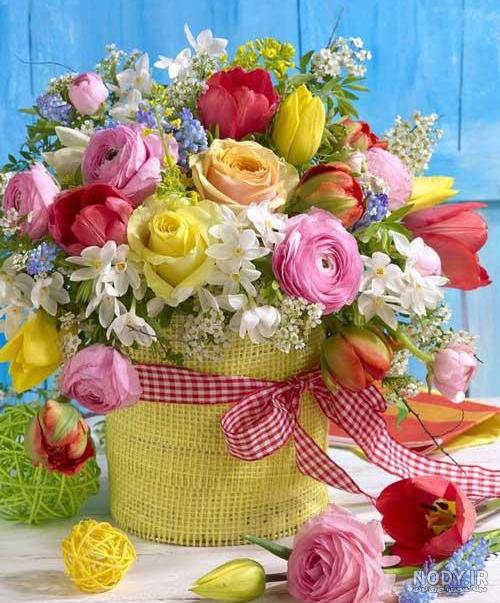 عکس های زیبای گل ها عکس های زیبای گل ها