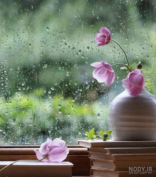 عکس گلهای باران خورده عکس گلهای باران خورده