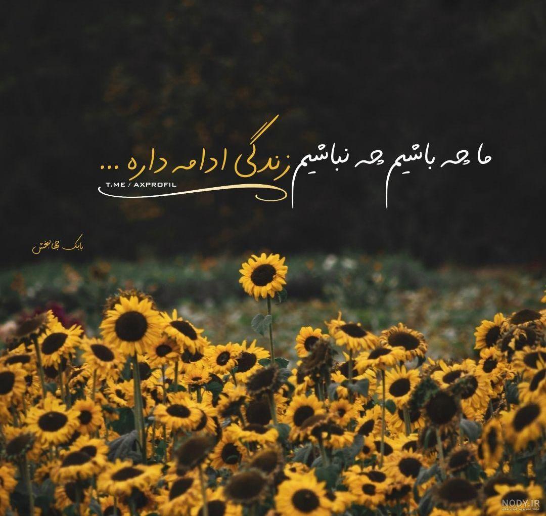پروفایل انرژی مثبت بدون متن پروفایل انرژی مثبت بدون متن
