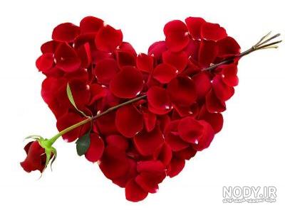 عکس قلب های زیبا عکس قلب های زیبا