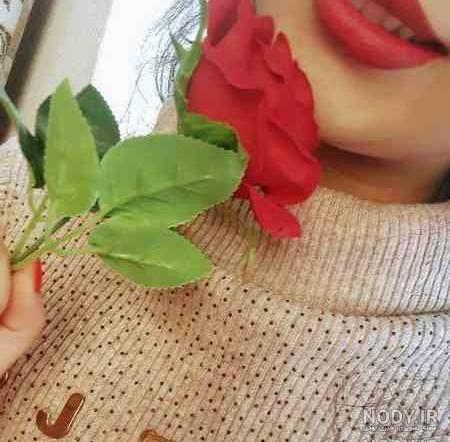 عکس گل های زیبای جهان عکس گل های زیبای جهان