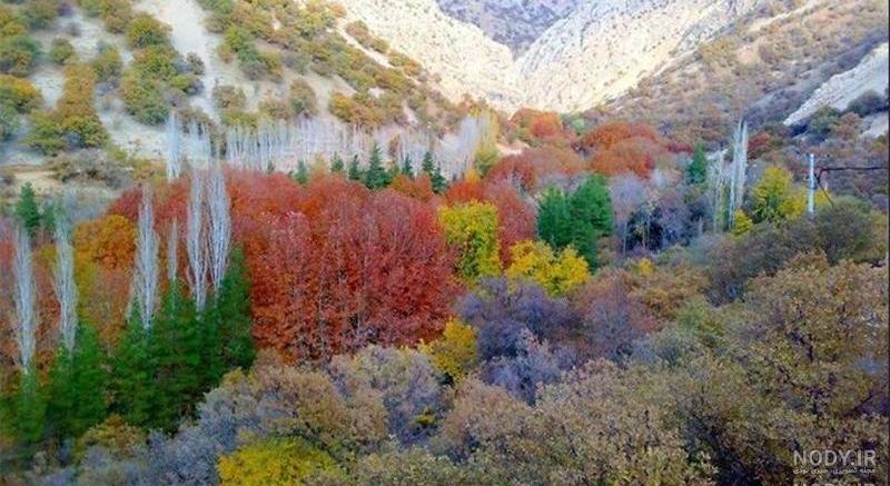 قشنگ زن عمو تولدت مبارک