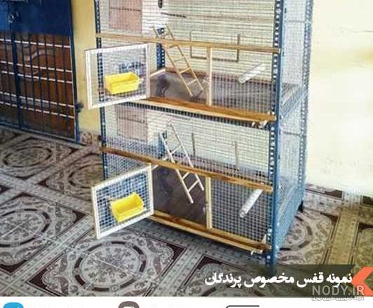 لانه جاوا عروس هلندی لانه جاوا عروس هلندی