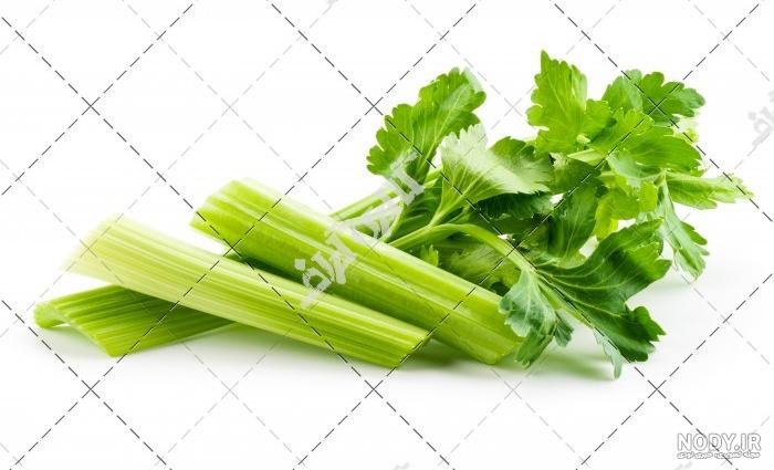 خواص اب کرفس برای ریه