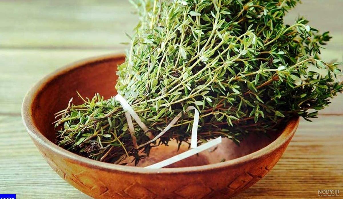 خواص اویشن برای قاعدگی
