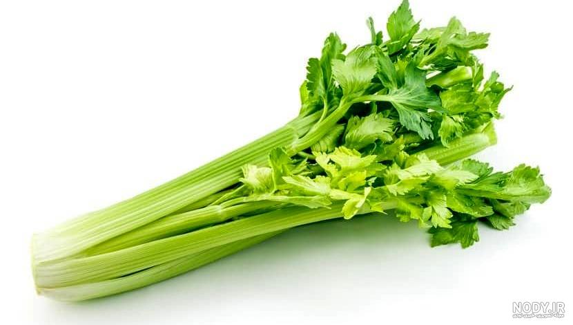 خواص کرفس برای استخوان