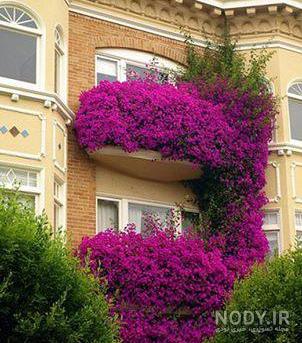 زیباترین عکسهای طبیعت