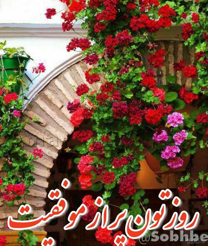 سلام صبح بخیر زمستانی متحرک