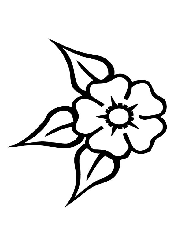 عکس دسته گل تولد عکس دسته گل تولد