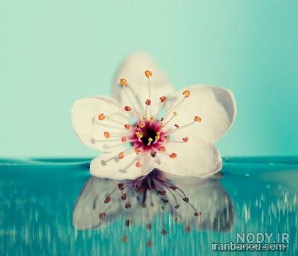 عکس طبیعت رویایی زیبا