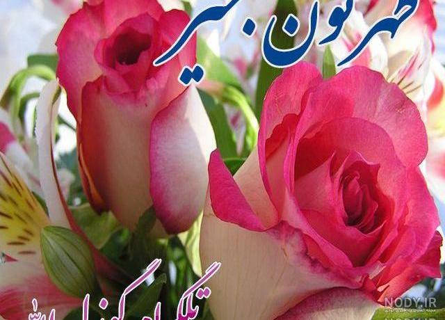 عکس ظهر بخیر گفتن