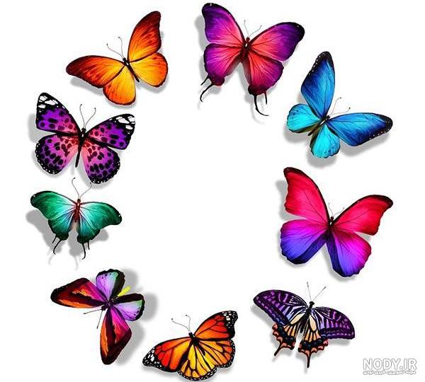 عکس قلب در فال قهوه عکس قلب در فال قهوه