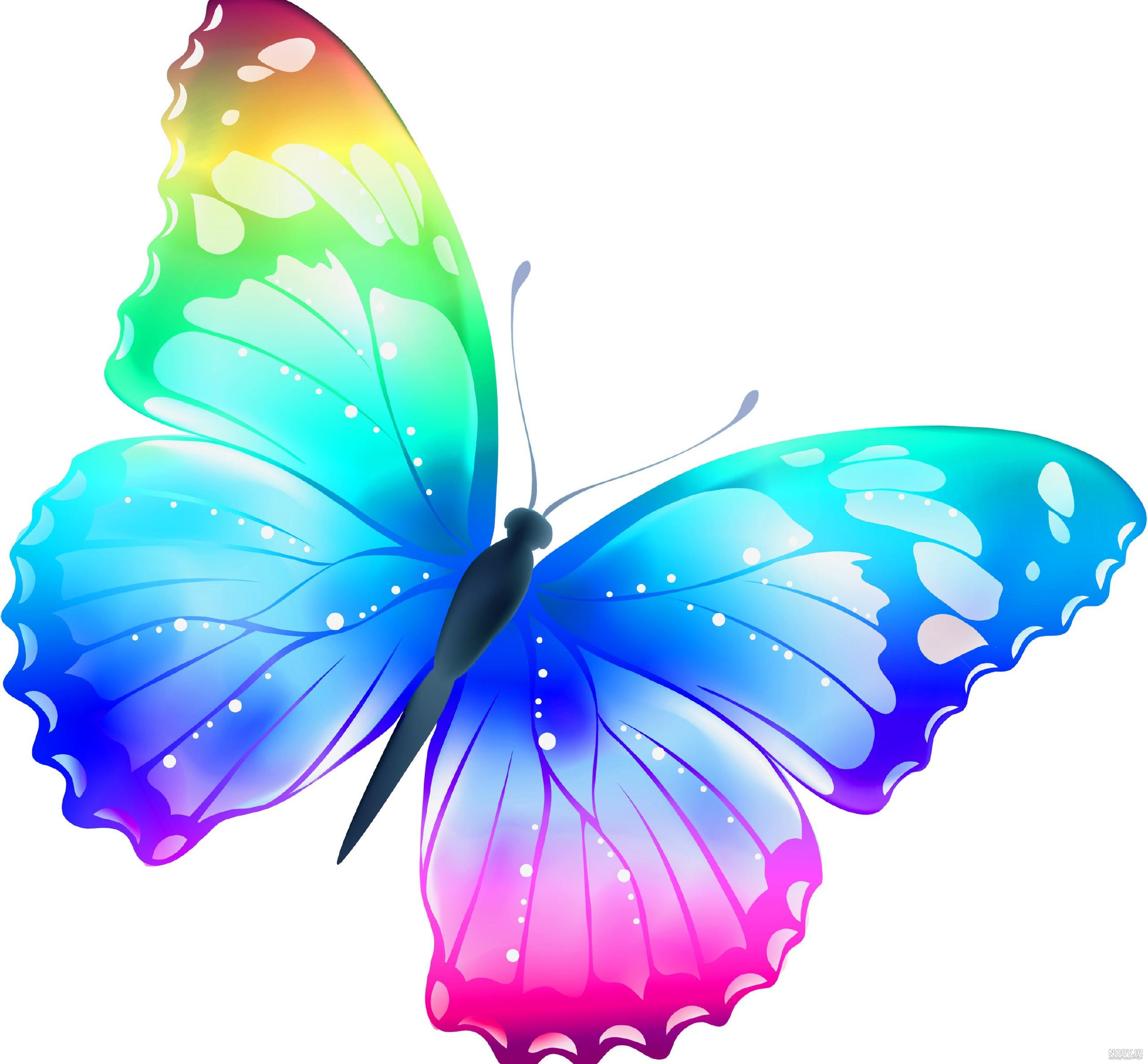عکس قلب در نعلبکی فال قهوه عکس قلب در نعلبکی فال قهوه