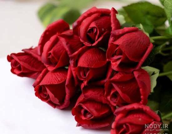 عکس متحرک گل رز ابی عکس متحرک گل رز ابی