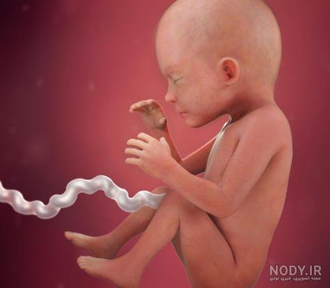 عکس نوزاد پسر شش ماهه عکس نوزاد پسر شش ماهه
