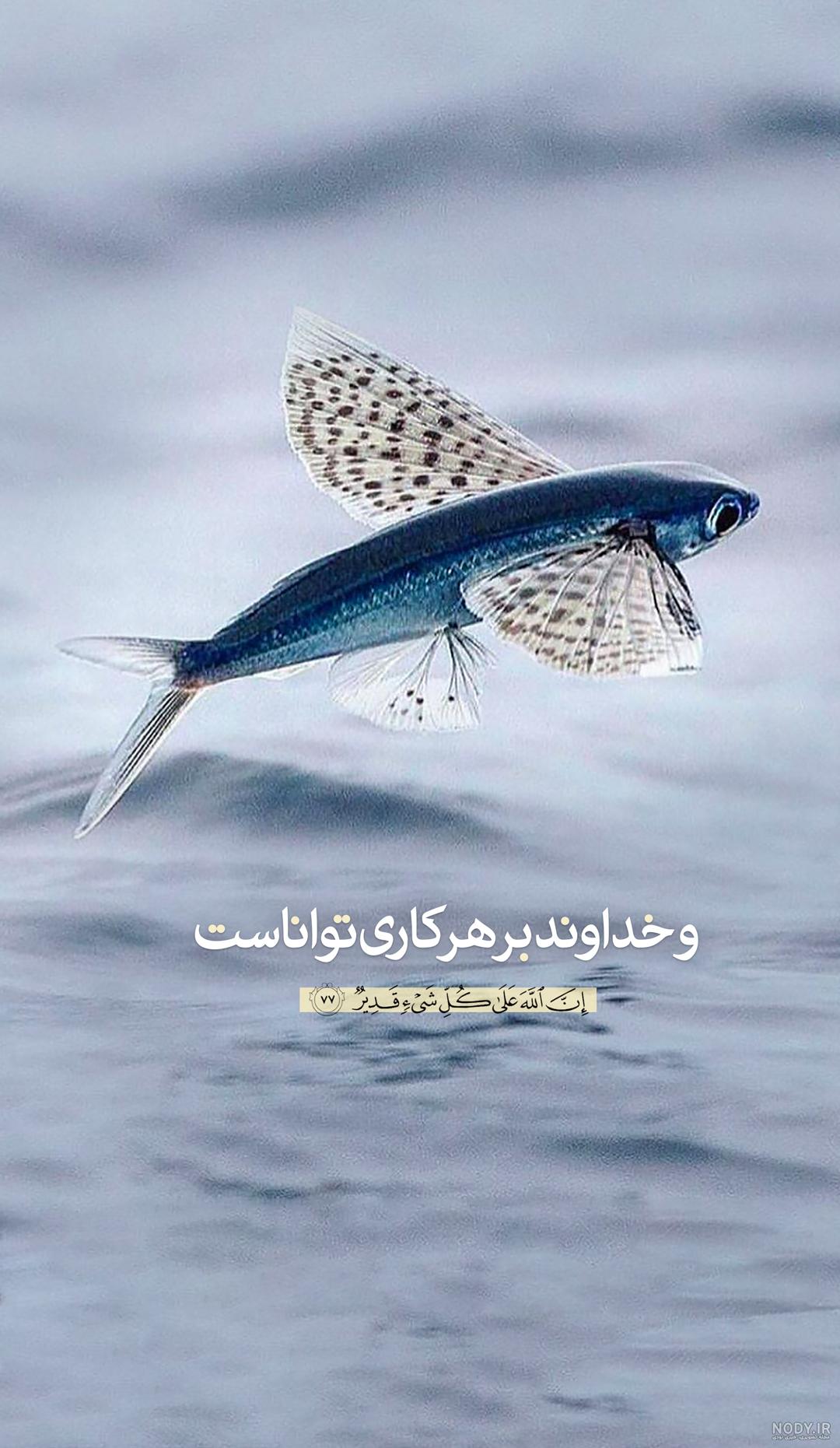 عکس نوشته برای قدرت خدا