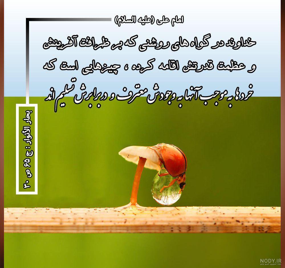 عکس نوشته در مورد قدرت خدا