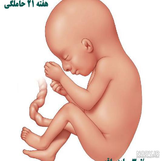 عکس پسر بچه شش ماهه عکس پسر بچه شش ماهه