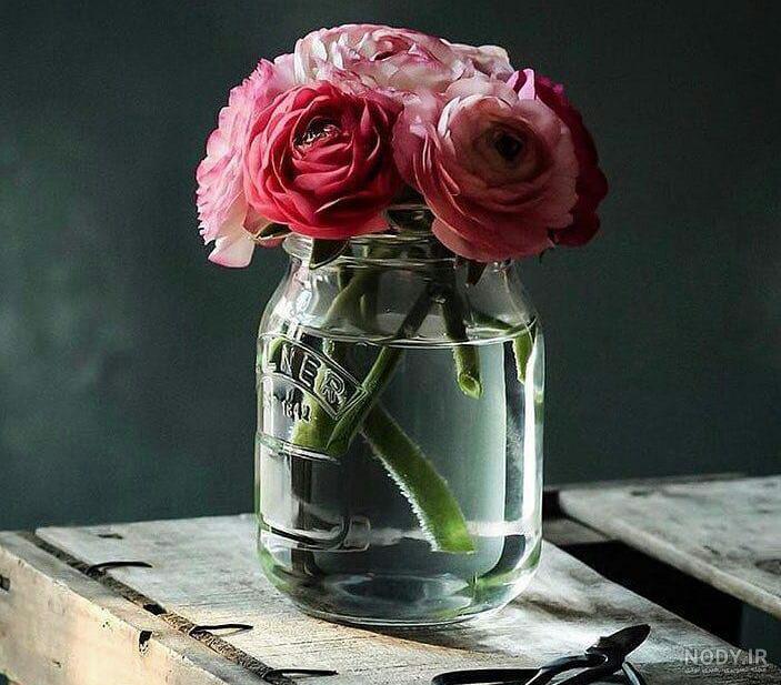 عکس گل زیبا عکس گل زیبا
