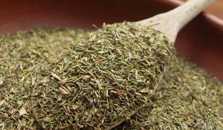 عکس گیاه آویشن