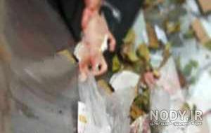 فیلم جنین شش ماهه در رحم مادر فیلم جنین شش ماهه در رحم مادر