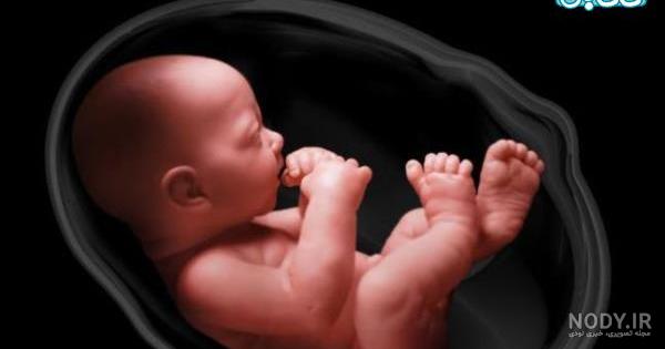 فیلم حرکت جنین دختر فیلم حرکت جنین دختر