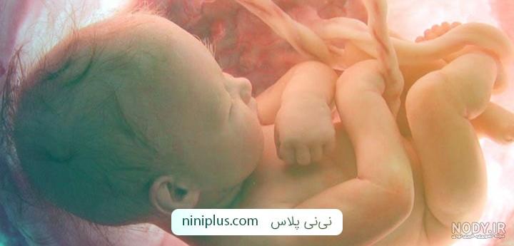 فیلم حرکت جنین پسر فیلم حرکت جنین پسر