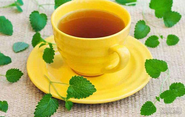 قیمت چای لاغری تف