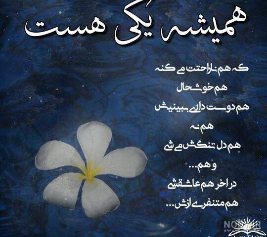 نوشته های مریم نوشته های مریم