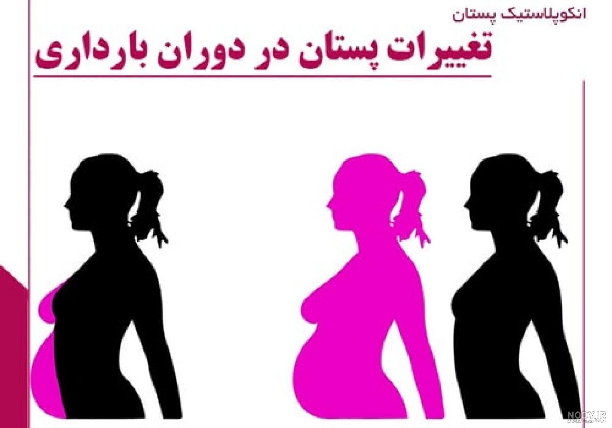 هفته های بارداری به ماه