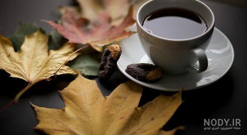 چشم گربه در فال قهوه چشم گربه در فال قهوه