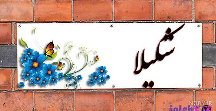 کلیپ کوتاه شکیلا برای وضعیت