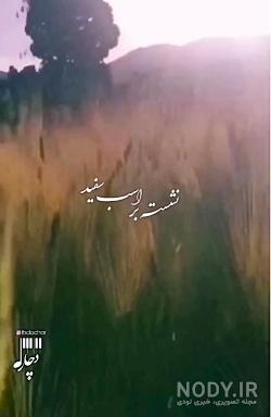 اهنگ شهزاده ی رویای من شکیلا اهنگ شهزاده ی رویای من شکیلا